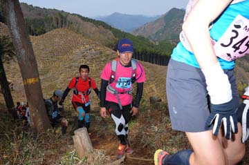 hase30k2013_0561