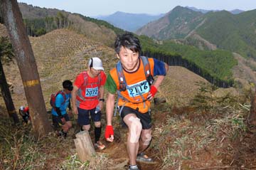 hase30k2013_0569