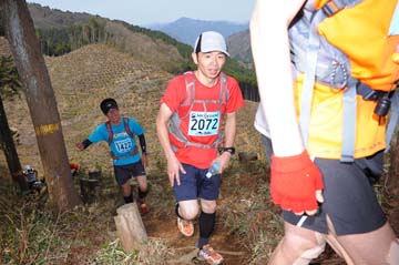 hase30k2013_0570