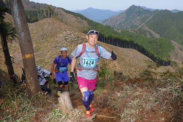 hase30k2013_0594