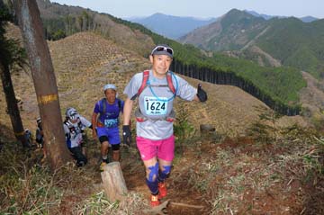 hase30k2013_0595