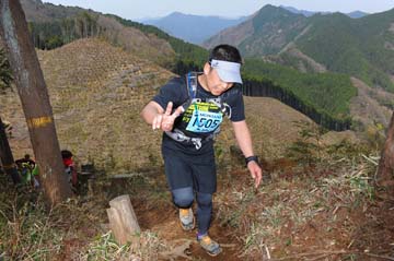 hase30k2013_0612