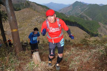 hase30k2013_0637