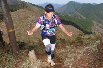 hase30k2013_0664