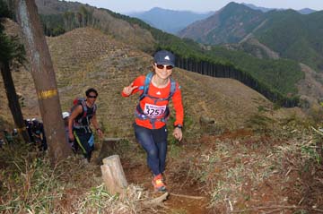 hase30k2013_0722
