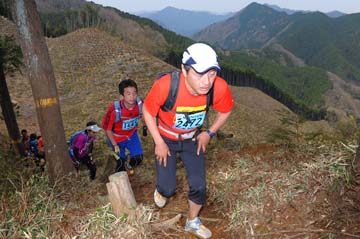 hase30k2013_0741