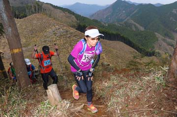 hase30k2013_0745