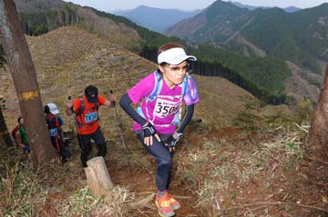 hase30k2013_0746