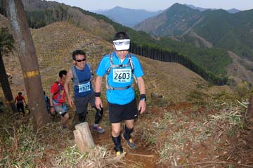 hase30k2013_0753