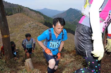 hase30k2013_0789