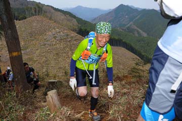 hase30k2013_0799