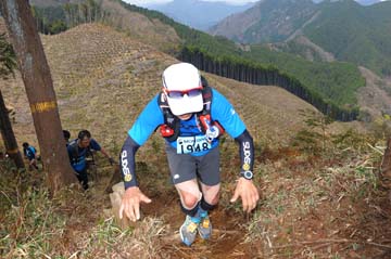 hase30k2013_0855