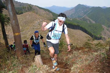 hase30k2013_0873