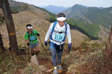 hase30k2013_0877