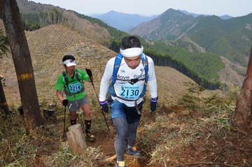 hase30k2013_0878