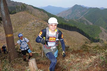 hase30k2013_0973