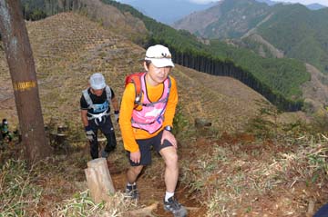 hase30k2013_0978