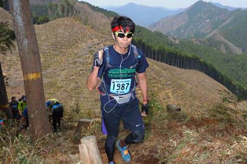 hase30k2013_1004