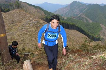 hase30k2013_1076