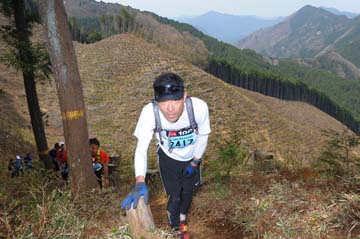 hase30k2013_1142