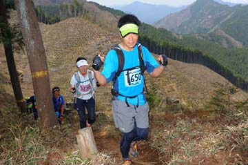hase30k2013_1151