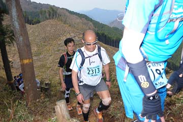 hase30k2013_1166