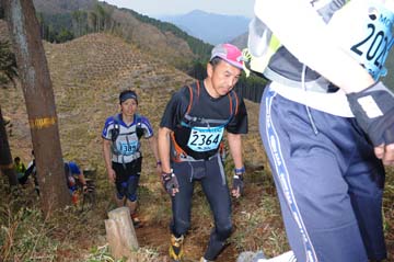 hase30k2013_1170