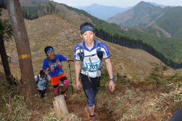 hase30k2013_1173