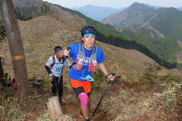 hase30k2013_1174