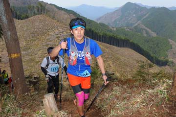 hase30k2013_1175