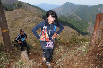 hase30k2013_1191