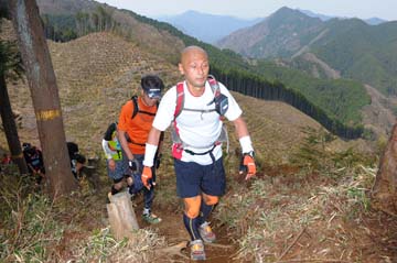 hase30k2013_1194