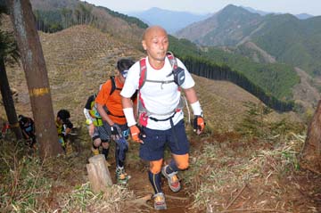 hase30k2013_1195