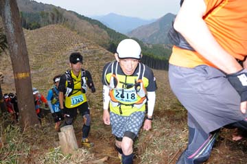 hase30k2013_1196