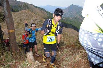 hase30k2013_1197
