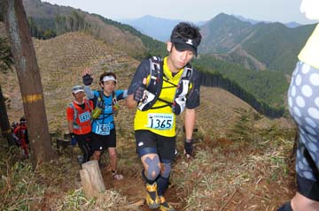 hase30k2013_1198