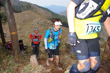 hase30k2013_1199