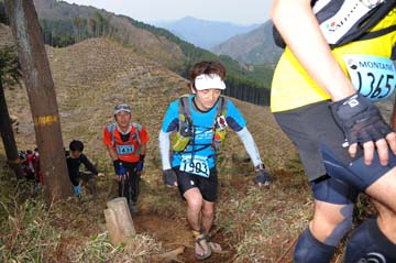 hase30k2013_1200