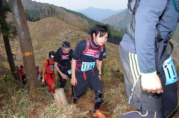 hase30k2013_1205