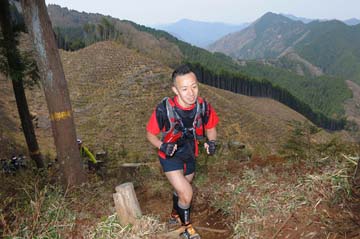 hase30k2013_1250