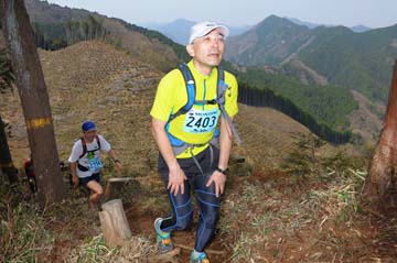 hase30k2013_1271