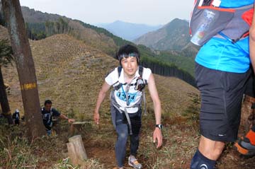 hase30k2013_1285