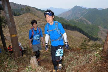 hase30k2013_1291
