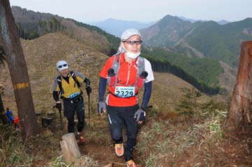 hase30k2013_1294