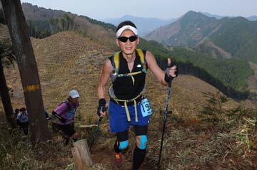hase30k2013_1317
