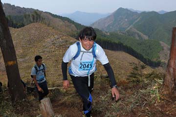 hase30k2013_1323