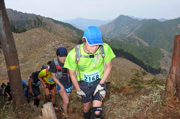 hase30k2013_1373