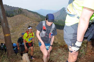 hase30k2013_1374