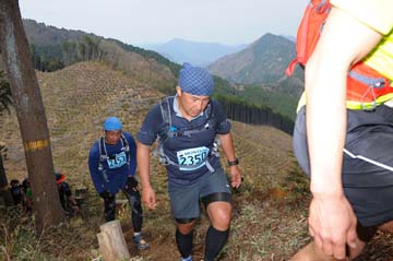 hase30k2013_1377