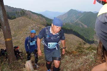 hase30k2013_1378